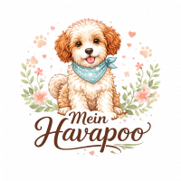 Mein Havapoo